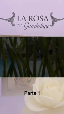 La Rosa De Guadalupe 🌹 |Parte 1| #apoyo #dalelikeycomparte🤩🤩🤩 #apoyoplissssssssssssss💞 #foryoupage #paratiiiiiiiiiiiiiiiiiiiiiiiiiiiiiii 