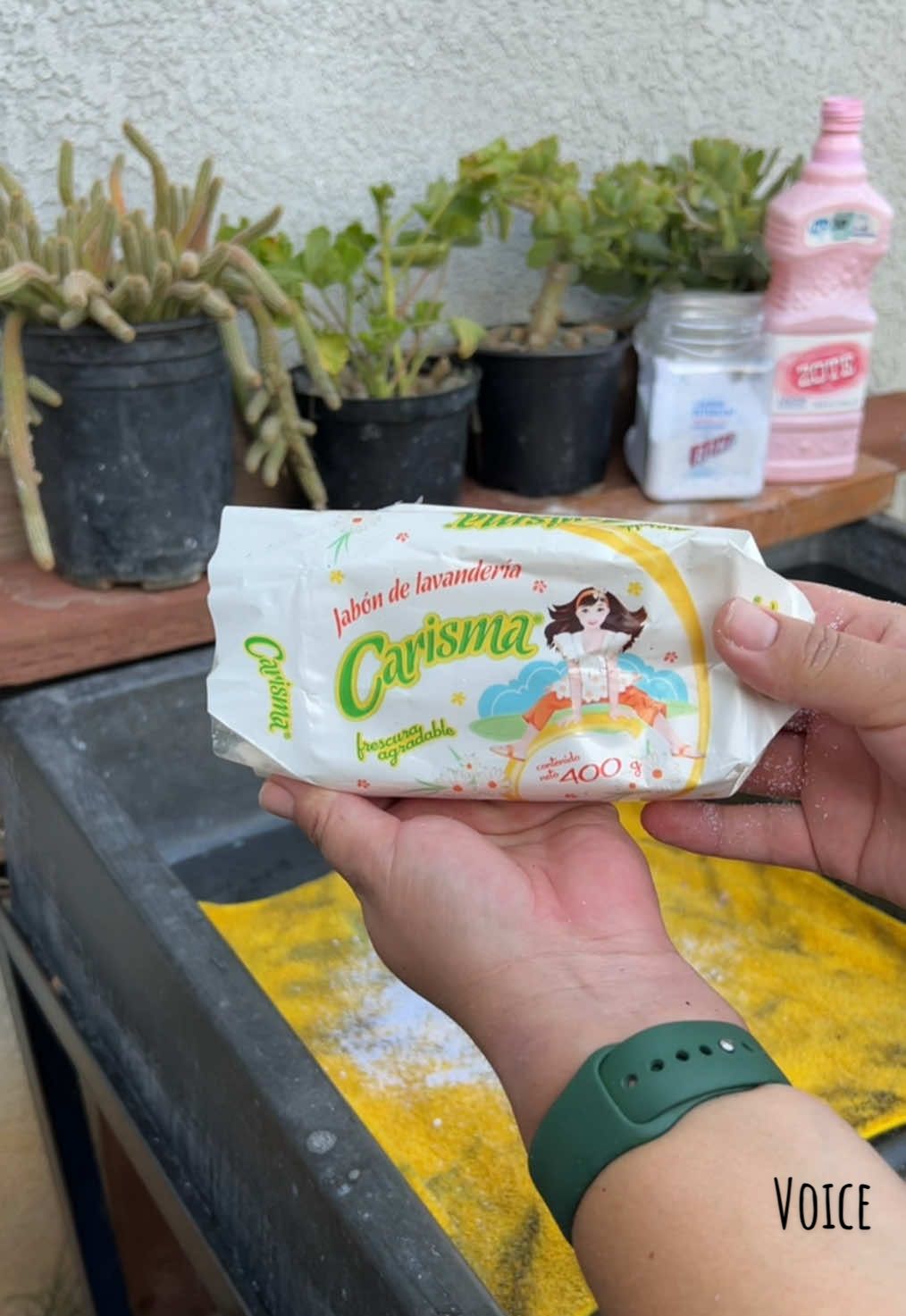 Replying to @Abby This soap’s giving main character energy. #mylavadero #lavaderoasmr #lavandoamano #washingbyhand #ASMR 