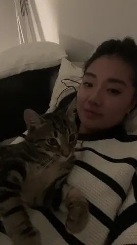 I wonder if they know they saved me too🤍🥹 #adoptedcats #catsoftiktok #MentalHealthAwareness #hjerteforhjemløsekatter #foryou 