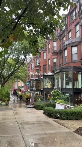 yes it’s a christmas sound and what… #fyp #boston #minivlog #travel #fypシ 