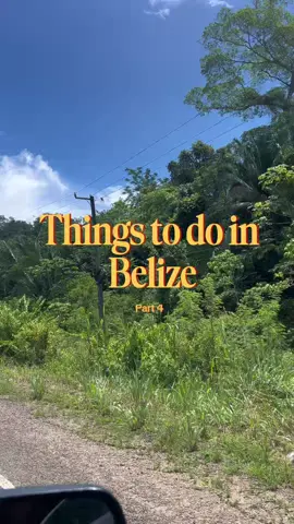Things to do in Belize! Belize Zoo 🐆 x Ayalas Natural Spring 🌊. #belize #belizetiktok #belizetravel #belizean🇧🇿 #belizeantiktokers 