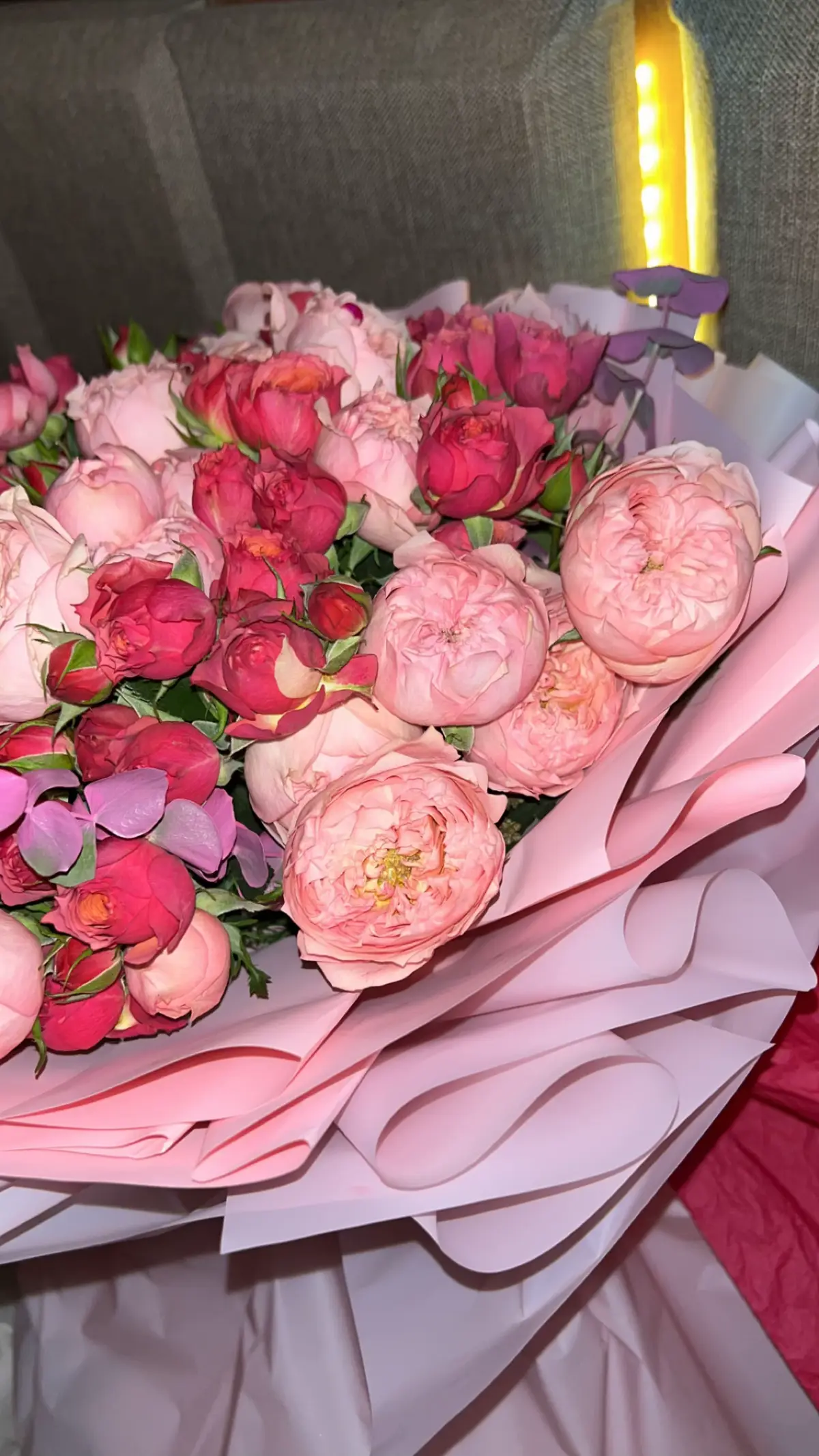 فراشات دتطيرررر 🎀💕🪷🌸🌺💞💓💕💘🎀