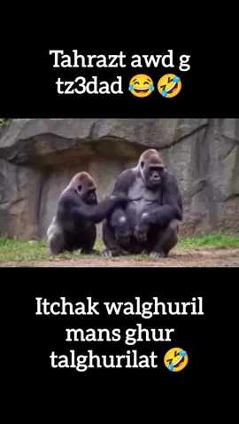 Qar datak 🤣#monday 