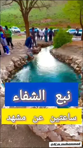 #مشهد  #السفر_الى_ايران  #السياحة  #ايران #الشعب_الصيني_ماله_حل😂😂 