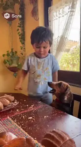 Debate contra Firulais  #niño #perro #discutiendo 