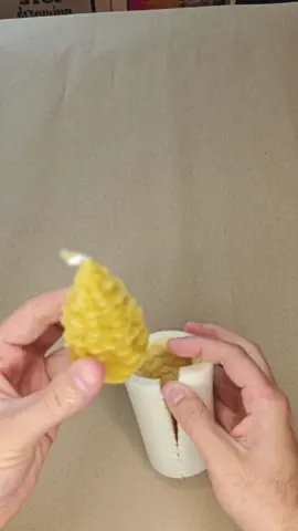 Aus Wachs wird Winter 🐝🕯️ Reines Bienenwachs, kein Paraffin, kein Schnickschnack. Handgegossen – direkt aus meiner Bioimkerei. #bienenwachs #kerzengießen #bioimkerei #handwerk #fyp