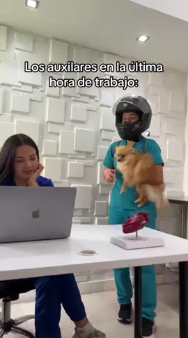 Es o no es? 🤣🤣🤣🤣 #auxiliarveterinaria #veterinaria #jefes #auxiliares 