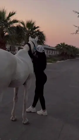 قدرك سما وان كان ممشاك التراب 💕🐎 #explore #fyp #اكسبلور #foryou #foryoupage 