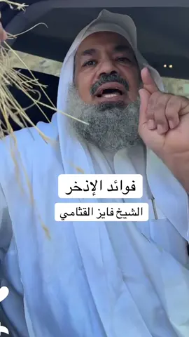 #نبات #إذخر #اضخر #شفاء #دواء 