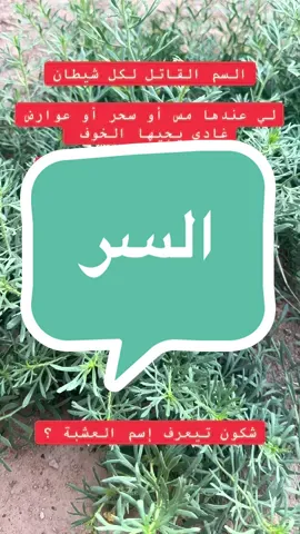 #الجالية_المغربية_في_كل_مكان💚 #فرنسا🇨🇵_بلجيكا🇧🇪_المانيا🇩🇪_اسبانيا🇪🇸 #الشعب_الصيني_ماله_حل😂😂 #الخليج #الجالية_العربية_حول_العالم 
