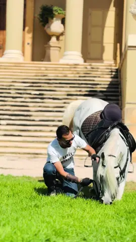 عاصف الحبيب#عاصف #ماشاءالله_تبارك_الله_اذكروا_الله #خيل_وخياله🐎 #horsesoftiktok 