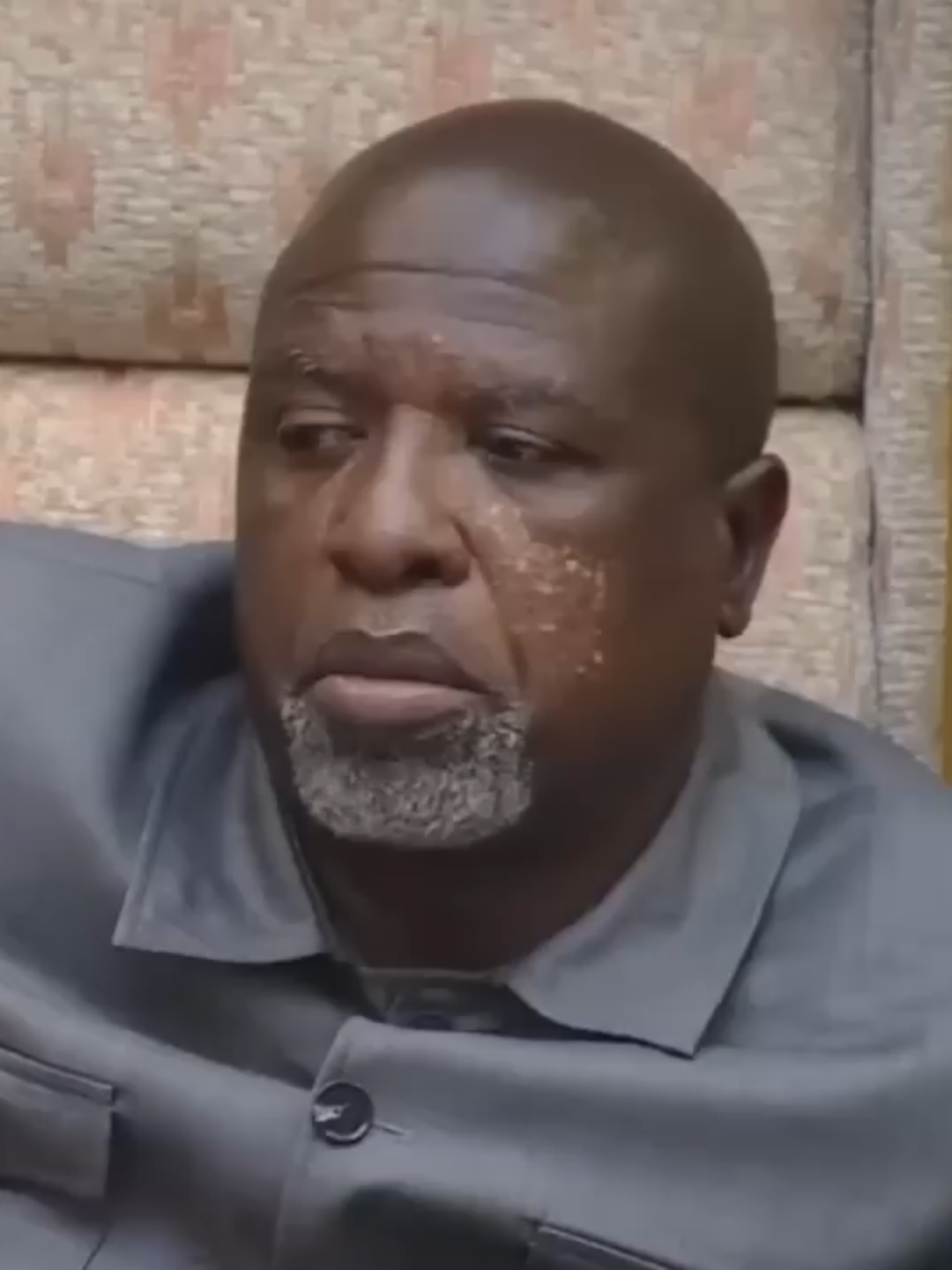 ANC Nqola Questions Cele “People Of South Forgive You For Destroying Alcohol During Lockdown”#edlin1344