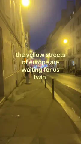filmmaking material #europe #cmbyn #twin #trip #trend #paris #relatable #citynights 