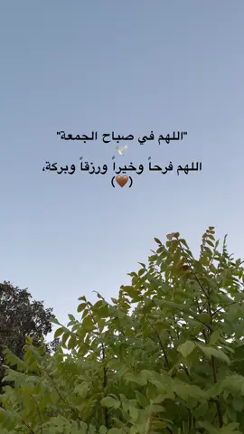 🤎....