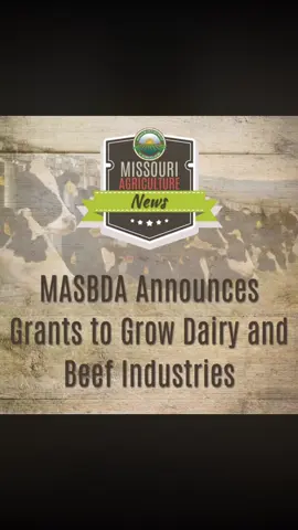 Link is in my comments 👇🏼