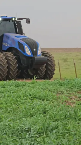 ficou muito perto 😅