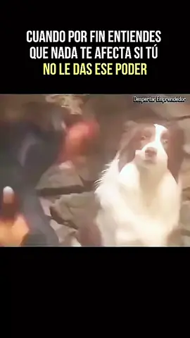 Cuando ya no importa nada #lavida #vivir 