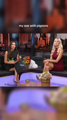 Can ANYONE with ties to the local pigeon community please tell me why I’m being targeted #pigeon #pigeons #nyc 