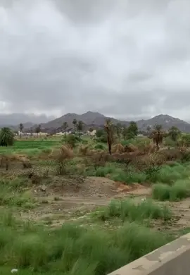 #في هذا اليوم 