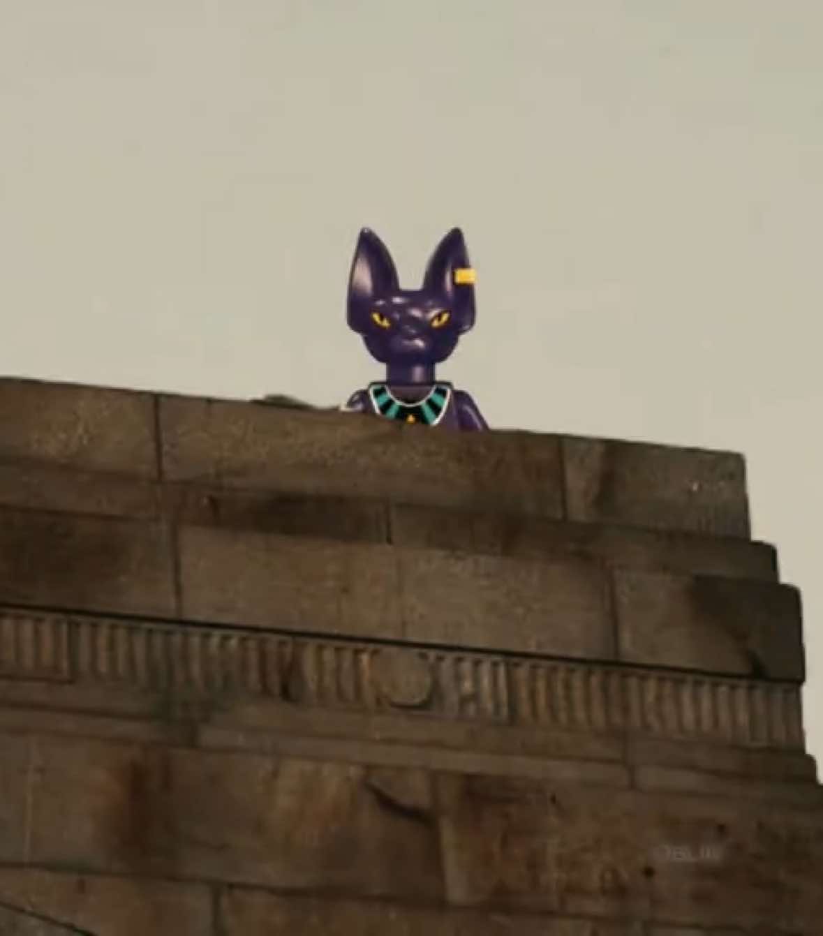 Lord Beerus, you simply must partake in this activity. I believe the Earthlings call it Treason | Battle of Gods Edit #dragonball#dragonballlegends#edit#fyp#goku