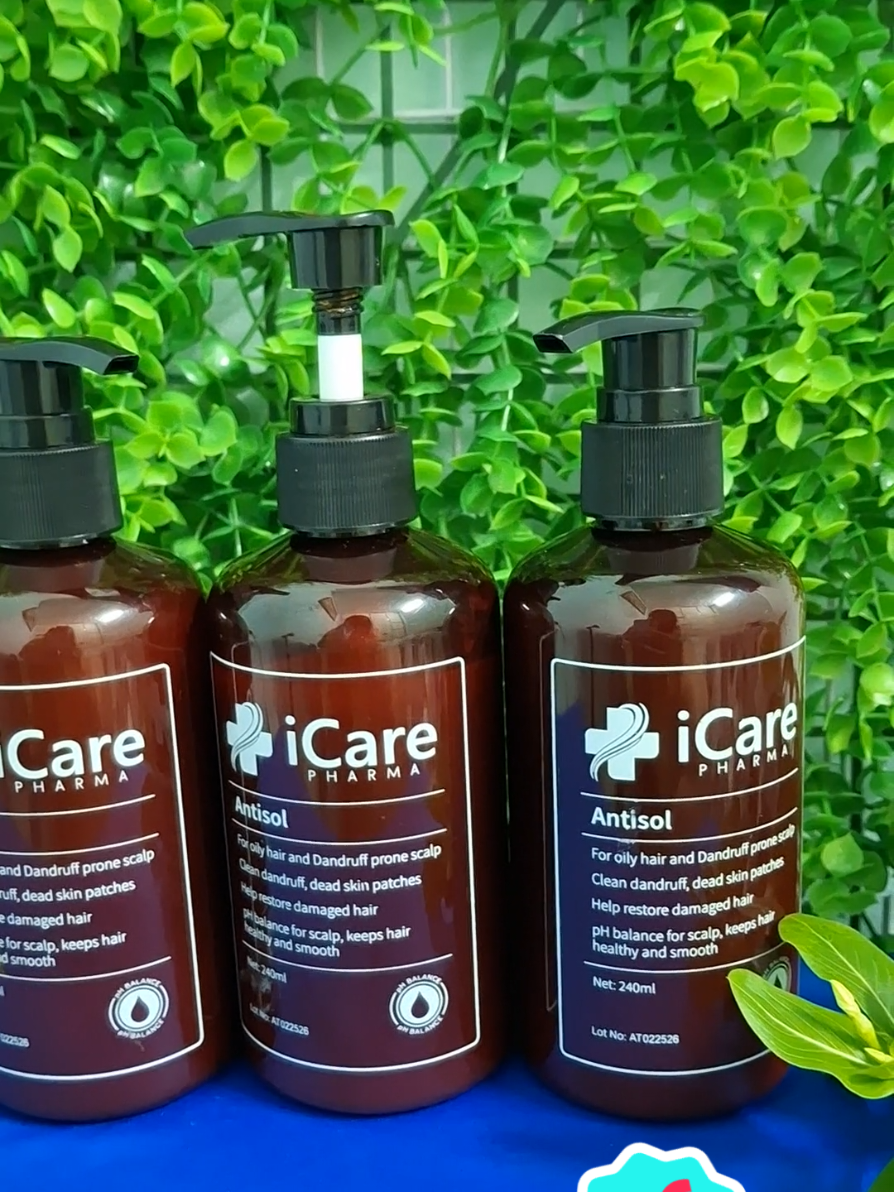 [MUA 2 TẶNG 1] Combo 02 Chai Dầu Gội Sạch Gàu Antisol Icare pharma #daugoi #daugoiicare #icare #daugoitrigau #daugoitrinam 