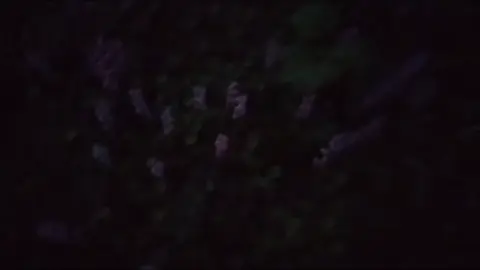 hopelessly devoted to you. #foryou #hopelesslydevoted2u 