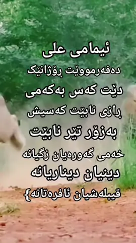 #في هذا اليوم 