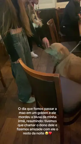O nome do querido era Brother 🥹❤️🤌🏻 #cachorro #meme #fyp #goldenretriever #goldenretrieverlife 
