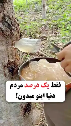 📌 فقط ۱٪ مردم دنیا اینو می‌دونن! 👨‍⚕️ یه پزشک آمریکایی میگه: اگه می‌خوای کمرت سالم بمونه یا الان درد پایین کمر داری، هر صبح فقط ۱ دقیقه این حرکت رو انجام بده. کافیه زانو‌هاتو به سمت سینه بالا بیاری. خیلی ساده‌ست، ولی همین حرکت باعث میشه ✅ عضلاتت باز بشن ✅ عصب‌ها آزاد شن ✅ مفصل ساکروایلیاک (پایین کمر) رها بشه ✅ و حتی حس کنی قدت بلندتر شده! وقتی صبح از تخت بلند می‌شی، تفاوت رو فوراً حس می‌کنی 🔥 دیگه اون گرفتگی و خشکی نیست، بدنت سبکه و رها. این ویدیو رو ذخیره کن و بفرست برای کسی که همیشه از کمر درد می‌ناله 🙌 و اگه خودت درگیر درد یا مشکل مفصلی هستی، عدد ۷ رو کامنت کن تا راهنماییت کنم ❤️ #دیسک_کمر #کمر_درد #حرکت_درمانی #درمان_بدون_جراحی #ورزش_کمر 