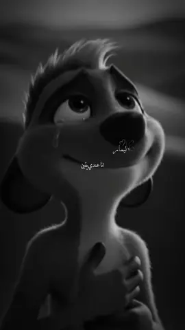 #الأميرة_ليمار💙 #fyp #تصميم_فيديوهات🎶🎤🎬 