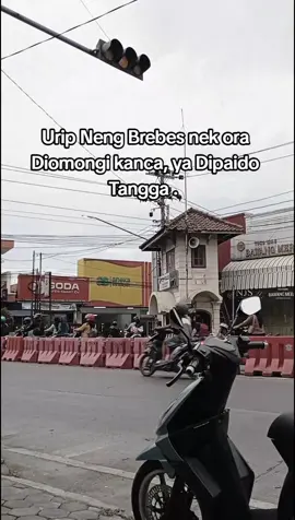 Brebes keras Lur.  #brebes #wongbrebes #brebes24jam #brebesviral #bismillahfyp 
