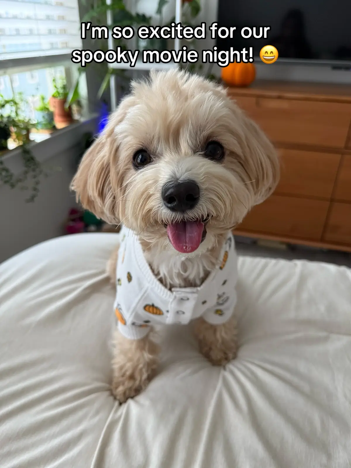 The spookiest movie night! 👻 