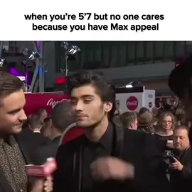 Just have everything else theory #fyp #zaynmalik #viral #edit #fypシ 