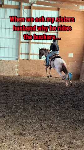 Some days the colts are just feeling fresh.   #bronc #buckinghorses #cowboy #rideemcowboy #feelingfresh 