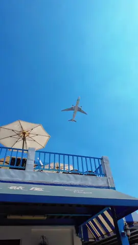 飛機頭頂上呼嘯而過！ #桃園第三航廈咖啡廳  桃園市大園區海豐坡15鄰6之3號 旁邊就是桃園機場 面向桃園機場的景觀非常好 有免費停車場 寵物友善 不能訂位 #旅行 #fyp #療癒  20251012