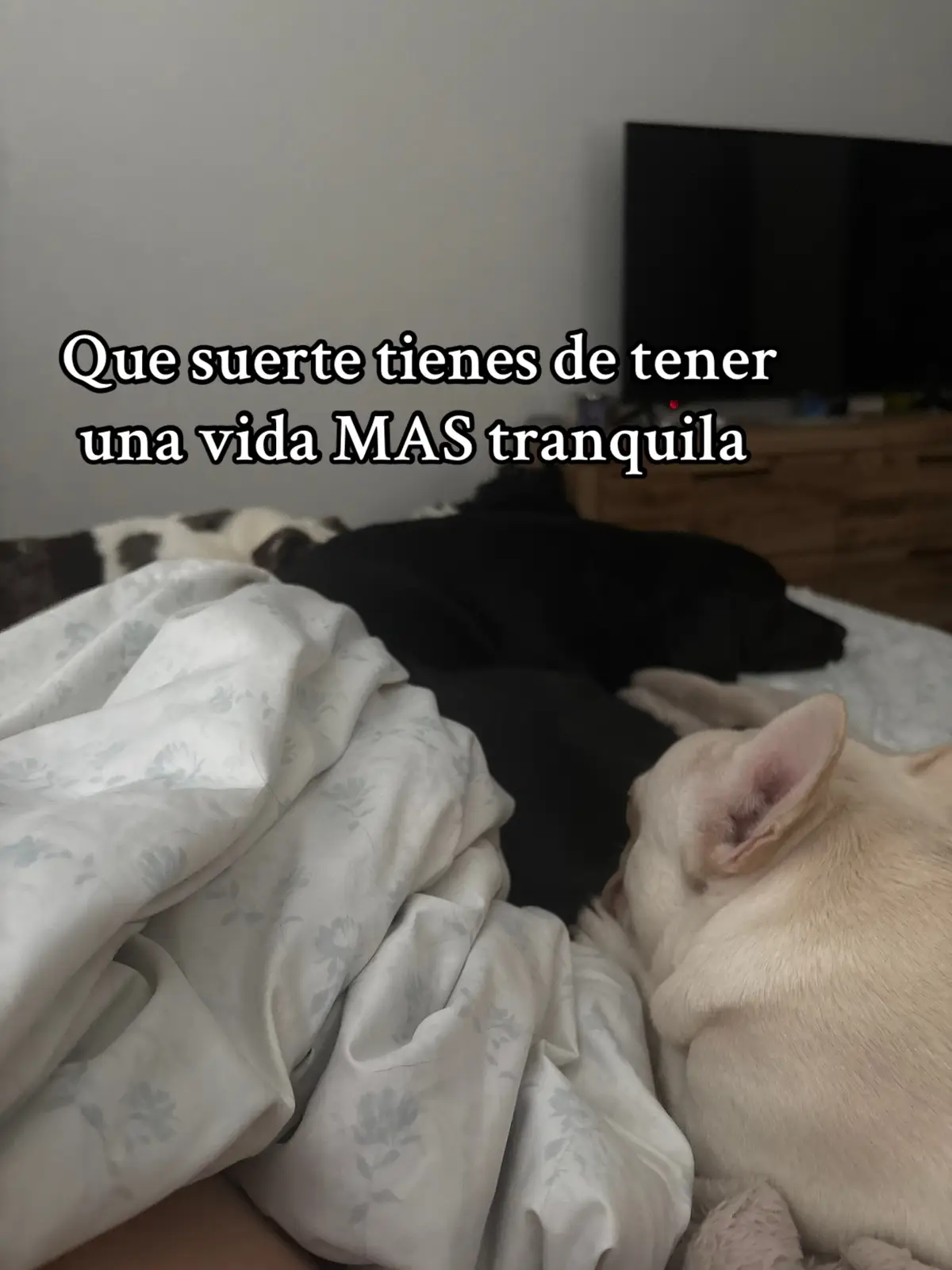 Poco se habla de los privilegios que te da un hombre cuando te da tranquilidad, cuidado y amor. No es suerte es que Dios me dio a un buen esposo y compañero de vida 💛 mientras muchos se alejaron el sigue sosteniendome y limpiando mis lagrimas. #parati #fyp #wifelife #andrearomanoss 