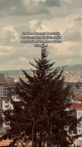 🦅#keşfet #mustafa_aksam #storytime #keşfett #kürtçeşarkılar 