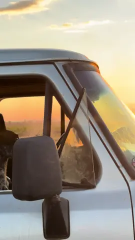 #pordosol #foryoupage #explore 