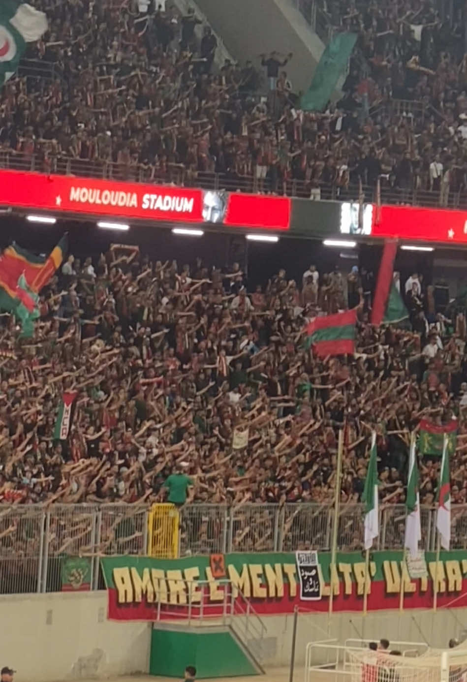 #حب_وعقلية💚❤ #amour_montalitá💚❤️ #amour_montalitá_ultras_sud 