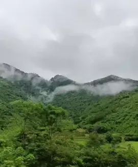 Em đăng video này lên tick tok Để anh lấy nhạc cài làm nhạc chuông