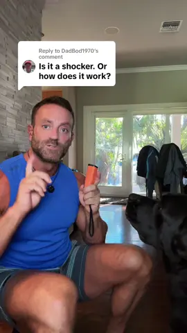 Replying to @DadBod1970 This ultrasonic training device uses sound frequencies only dogs can hear.. instantly grabbing their attention and helping stop unwanted barking without harm. It’s a quick, safe, and effective way to train your dog to stay calm and quiet. ##dogbarking #DogTraining #dogtrainingtips #peaceandquiet #dogsoftiktok 