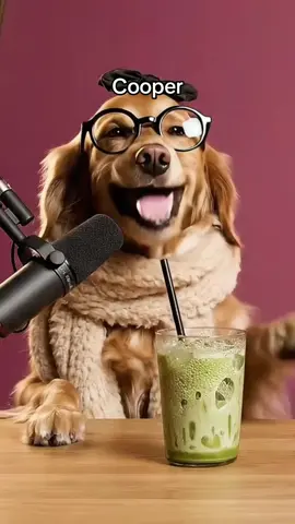 Cooper and pixie podcast coming in a few days guys 🥰 #dogtok #dogpodcast #usatiktok🇺🇸 #doghumor #barkafterdark 
