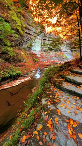 🧡🥾. #TravelReel#NatureVibes#earthelysium#ViralTravel#photography