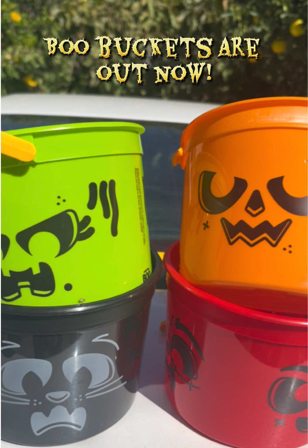 These #boobuckets are so cool! Go get them at #mcdonalds #halloweenbucket #happymeal #halloween 