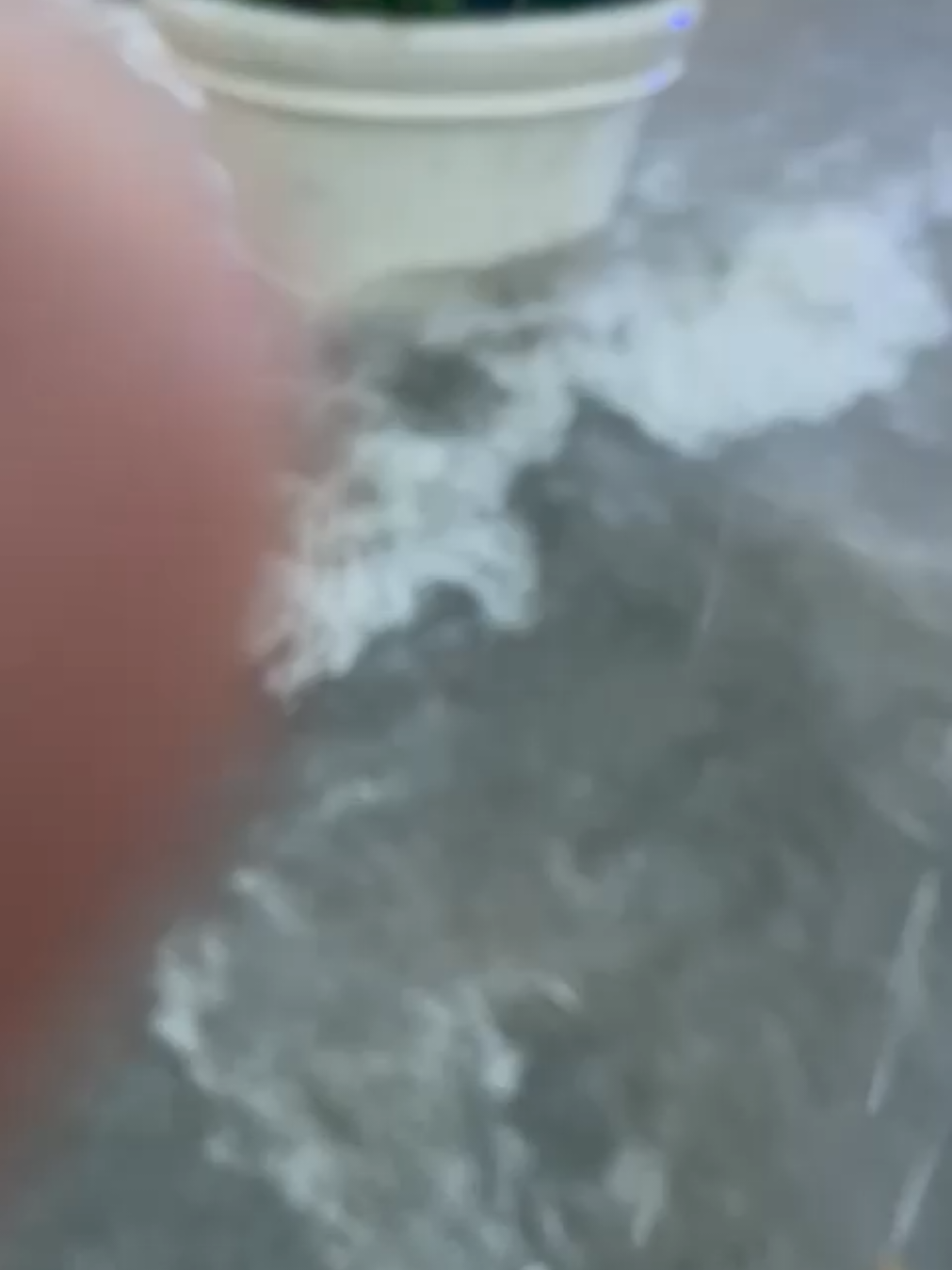 Nos Dicen que no es De Ahora es Cierto o No? #DiosPatriayLibertad #TeAmoRD🇩🇴 #paratiiiiiiiiiiiiiiiiiiiiiiiiiiiiiii #republicadominicana 