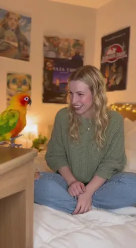 Mimzo perfectly imitates Walter White’s iconic scene 😎🦜🎬 #funnyvideo #parrotimpression #breakingbadfans #viralusa #fypusa 