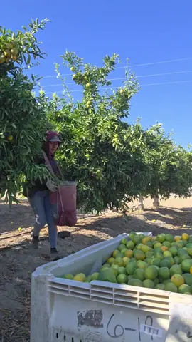 #fypシ゚viral #enparati #fyp #yourpage #hijaluchona1 