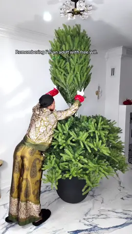 Is it December? No. Did I start putting trees up? Absolutely. I abosokutelt love this king tree from @King of Christmas ♥️ #christmasdecor #kingofchristmas #warmupforholidays 