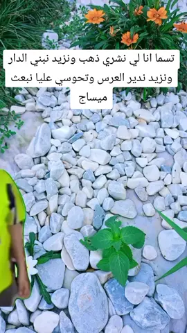 #Meme #MemeCut #CapCut 