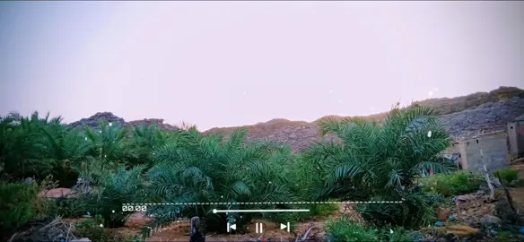 الا خلكو فم معجزات  #المدح #مدح_النبي #مدح_الرسول #fyp #نواكشوط_موريتانيا🇲🇷 